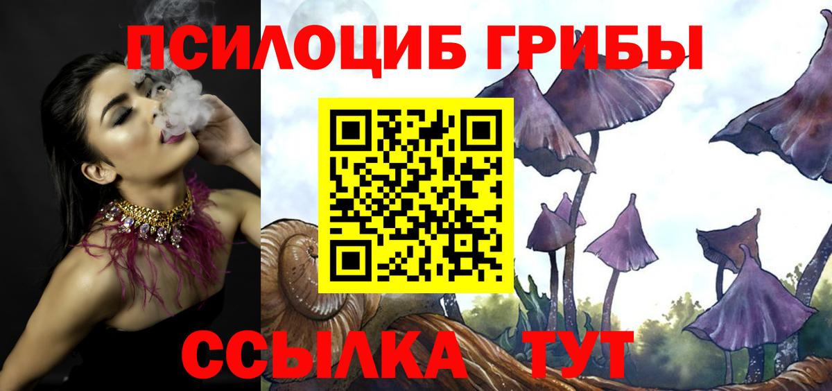 Чебоксары  Псилоцибиновые грибы прущие грибы  Вход с VPN 